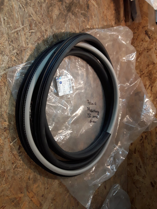 Astra H Abdichtung Türe vorne grau original GM Opel NEU