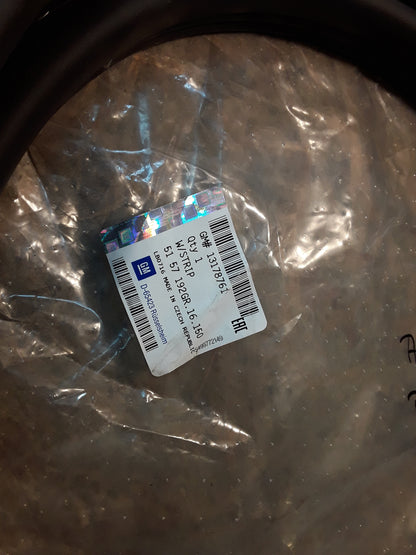 Astra H Abdichtung Türe vorne grau original GM Opel NEU