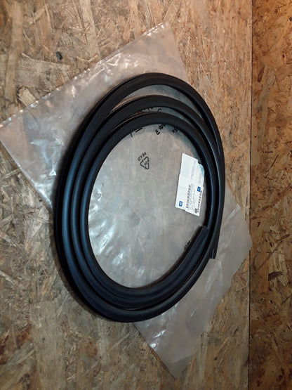 Movano A Dichtung Frontscheibe original GM Opel NEU