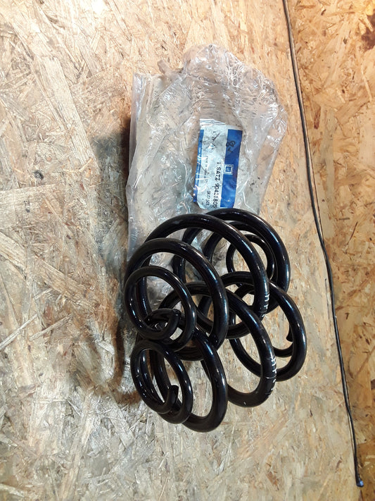 Astra GSi Hatch (53,F08,54,M08) Satz Federn hinten 9KZ: HP) original GM Opel NEU