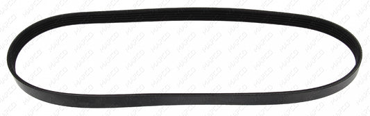 MAPCO Keilrippenriemen 250925