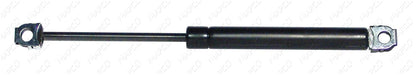 MAPCO Gasfeder, Motorhaube 20666