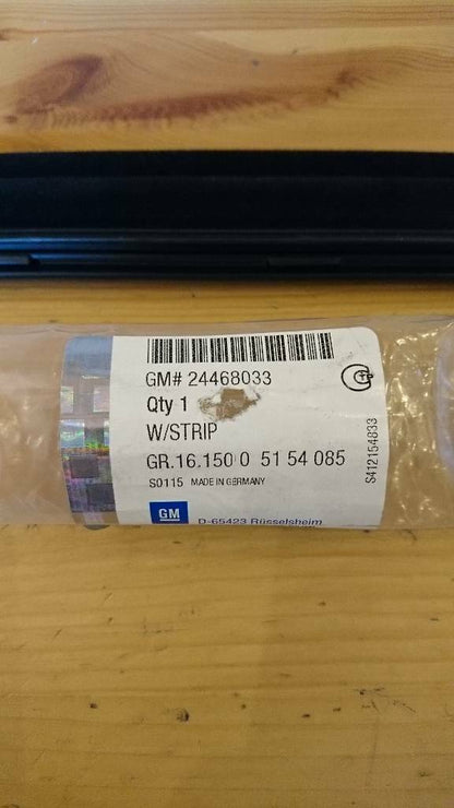 Astra H Fenster Dichtung vorne aussen neu original GM