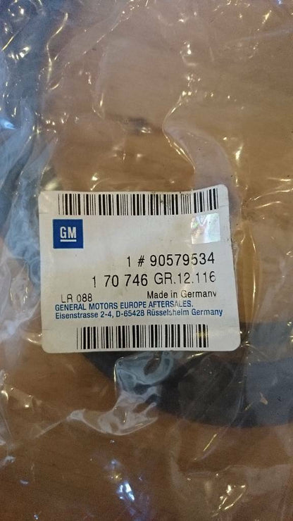 Astra G Zafira A Dichtung Ziergummi Heckscheibe original GM Opel NEU