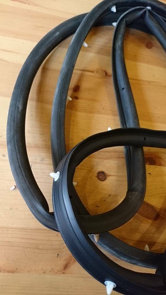 Insignia Türdichtung vorne links neu original GM