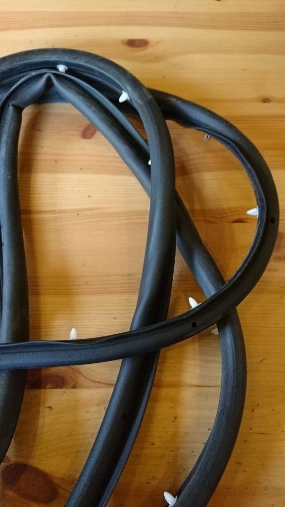 Insignia Türdichtung vorne links neu original GM