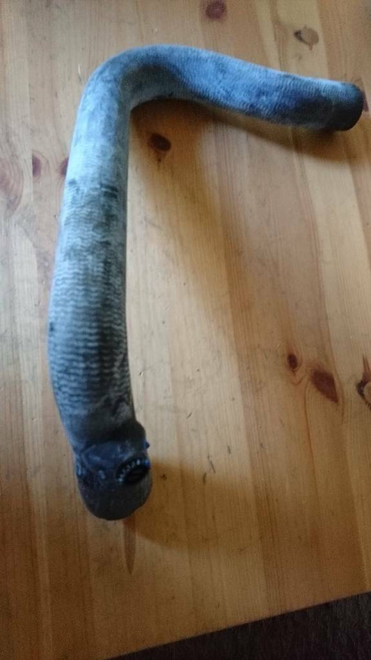 Opel Movano A Kühlerschlauch Auslass neu original GM