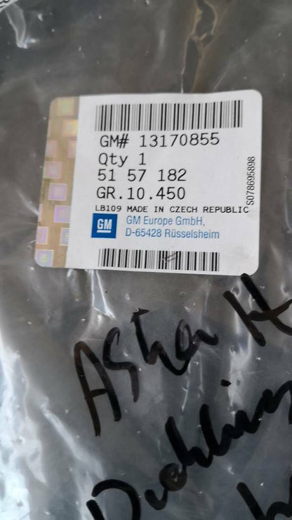 Opel Astra H Dichtung Türe Hinten Rechts neu original GM