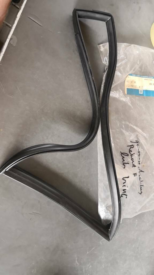 Opel Rekord E Gummidichtung hinten links neu original GM