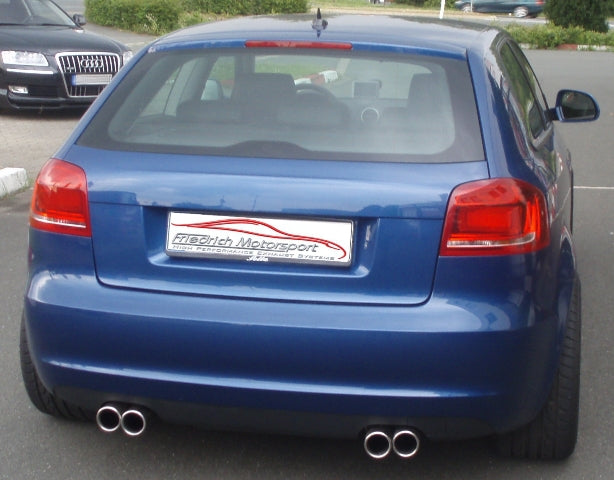 Friedrich Motorsport Gr.A Duplexanlage Audi A3 8P Frontantrieb