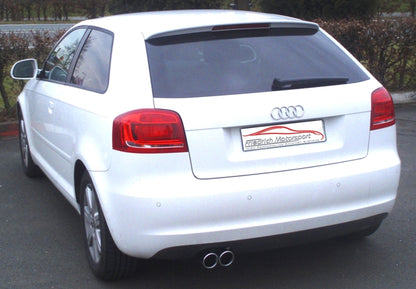 Friedrich Motorsport Gr.A Anlage  Audi A3 8P Frontantrieb