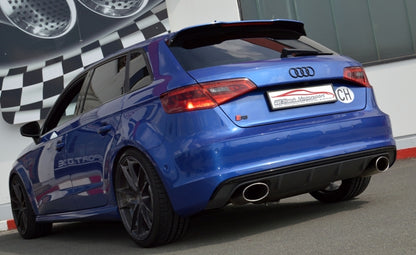 Friedrich Motorsport 76mm Duplex-Sportendschalldämpfer mit originaler Klappensteuerung