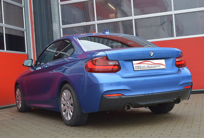 Friedrich Motorsport Duplex-Sportendschalldämpfer BMW 2er F22/F23