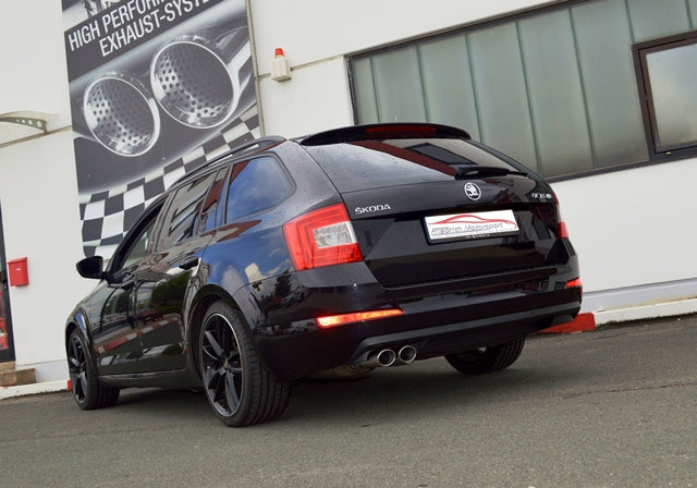 Friedrich Motorsport 76mm Anlage Edelstahl