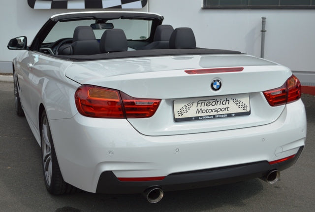 Friedrich Motorsport 76mm Duplex-Anlage Edelstahl