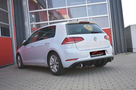 Friedrich Motorsport Gr.A Duplexanlage VW Golf VII