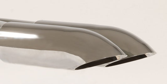 Friedrich Motorsport Endrohr 2x70 Dieseloptik