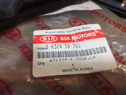 Kia Rio  Dichtung Türe vorne rechts original Kia NEU