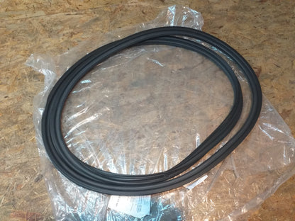 Meriva B Vectra B Dichtung Türe original GM Opel NEU