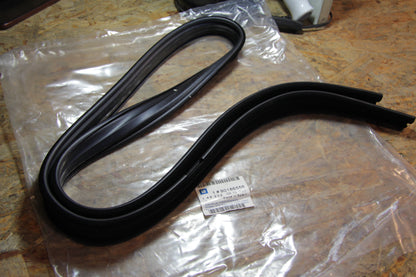 Fensterführung Abdichtung Vordertür rechts (Beifahrertür)