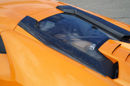 Friedrich Motorsport Lufteinlass Dachhutze (Satz) in Sichtcarbon FORGED Lamborghini Huracán Performante
