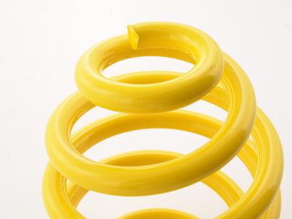 FK Rennsport Ersatzteil Hauptfeder für FK Gewindefahrwerk AK Street HA