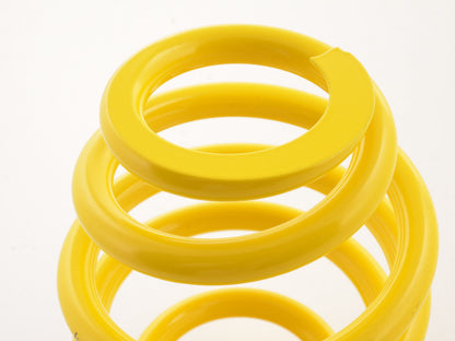 FK Rennsport Ersatzteil Hauptfeder für FK Gewindefahrwerk AK Street HA