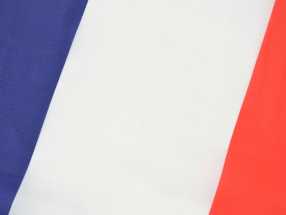 Autofahne Autoflagge Frankreich Fahne mit Halterung für Seitenfenster 30x45cm