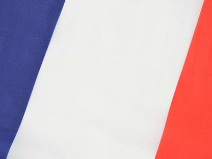 Autofahne Autoflagge Frankreich Fahne mit Halterung für Seitenfenster 30x45cm