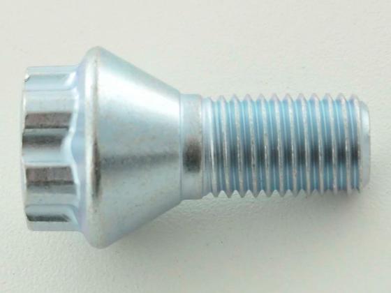 Radschrauben Set (10 Stk.) Kegelbund Kurzkopf Schaftlänge 22mm M12x1,25 silber