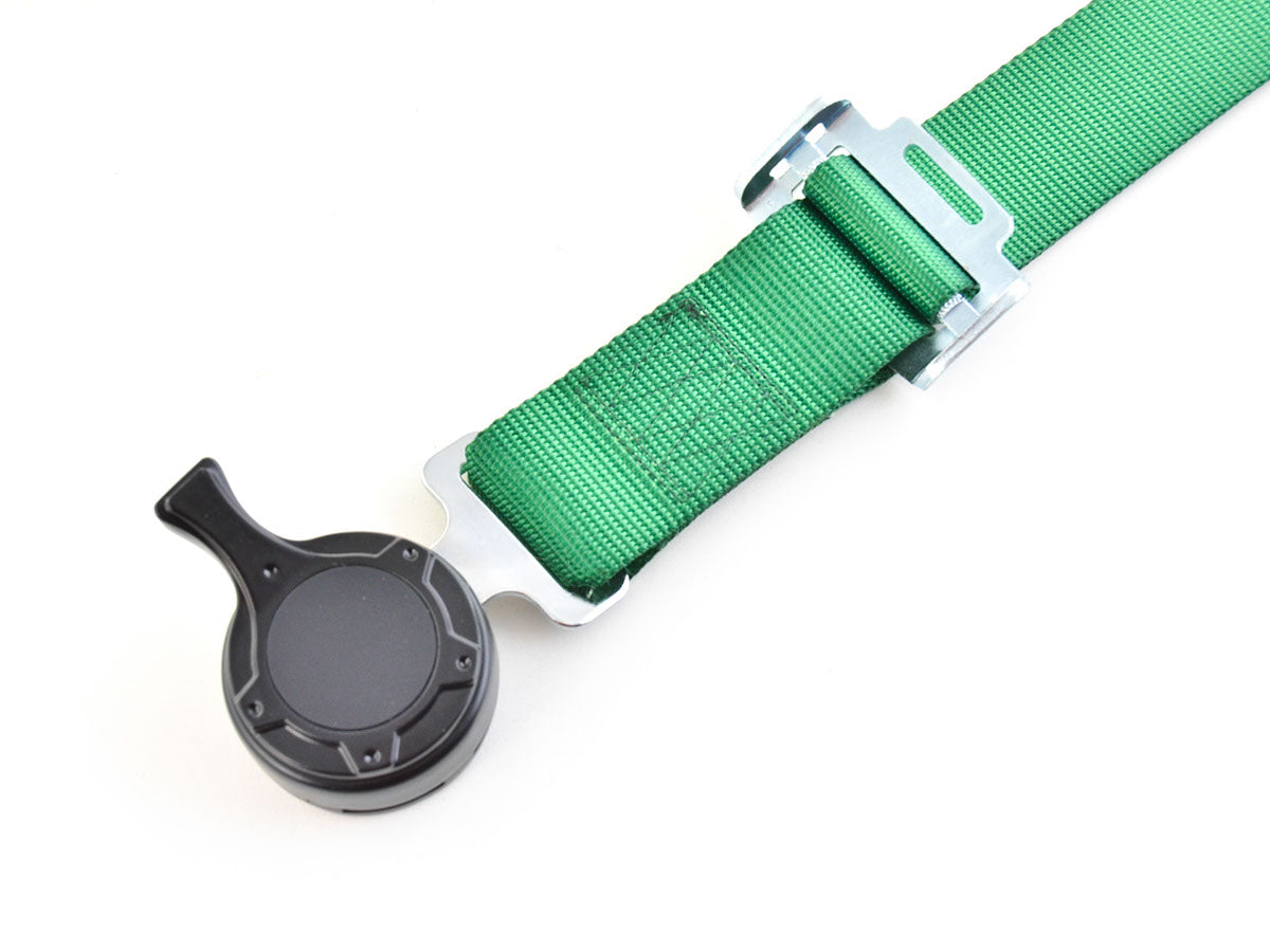 Hosenträgergurt 4-Punkt Gurt Renngurt universal grün