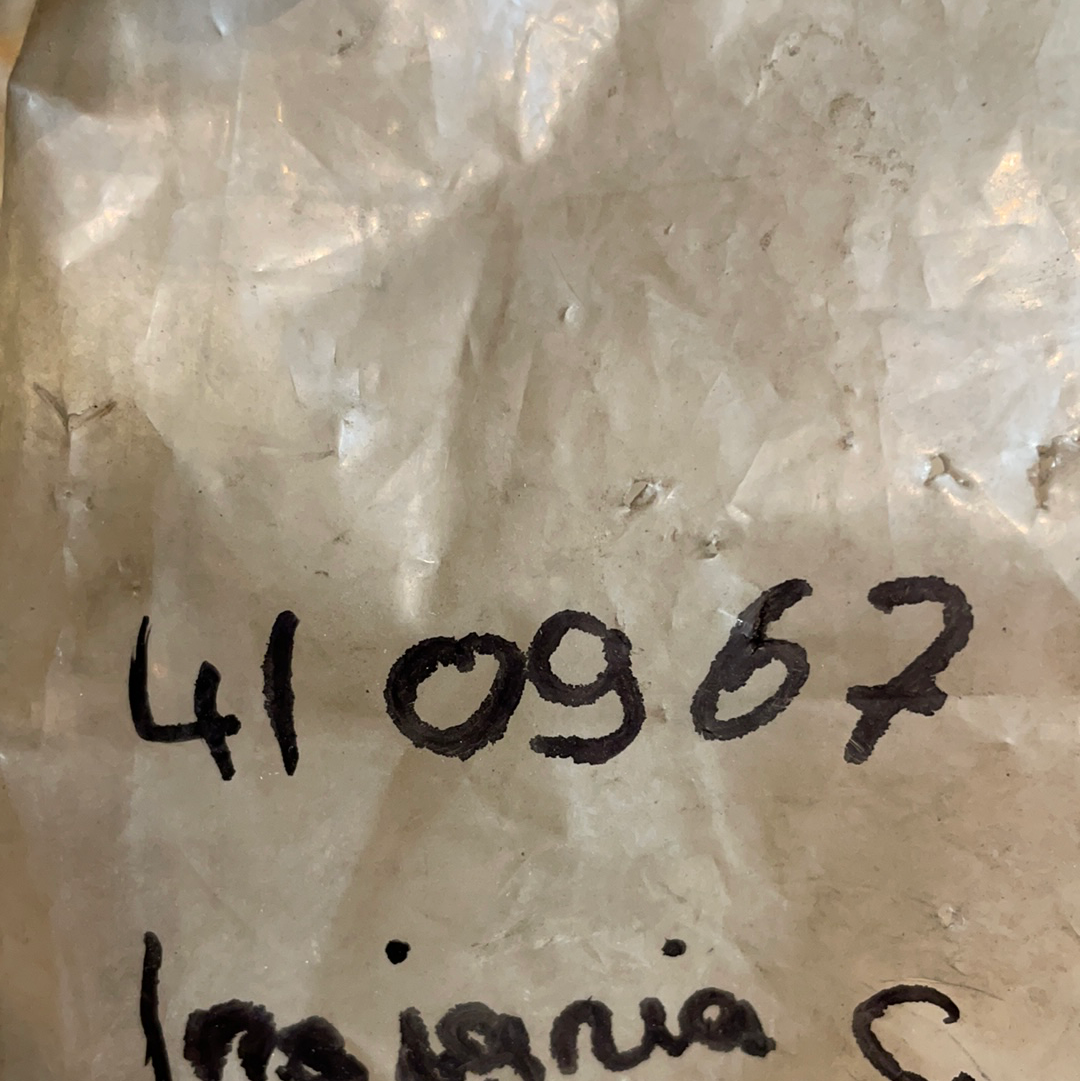 Original GM Opel Insignia Dichtung Abgasrohr Neu