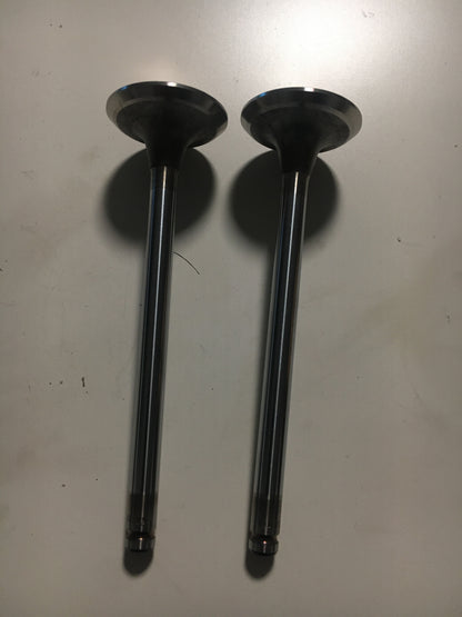 Original Vectra F Vectra Kadett E Einlassventil 2x in einem NEU