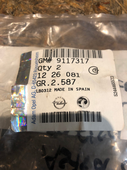 Original Astra G Zafira A Lampenfassung links/rechts