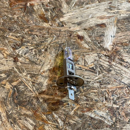 Original GM Alwetterlampe H1 12V 55W Neu