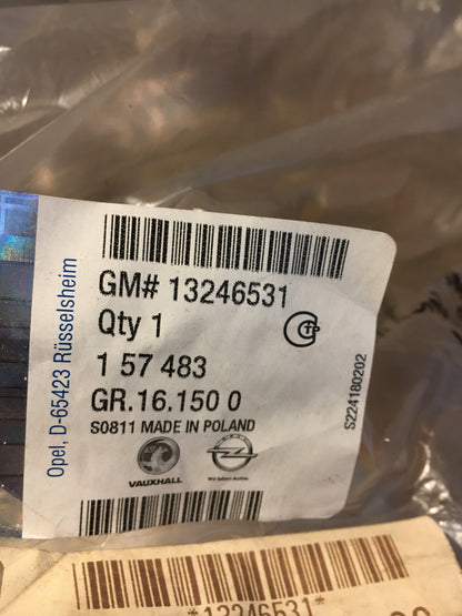 Opel Insignia A Sports Tourer 13246531 Türdichtung Gummidichtung Hinten Rechts