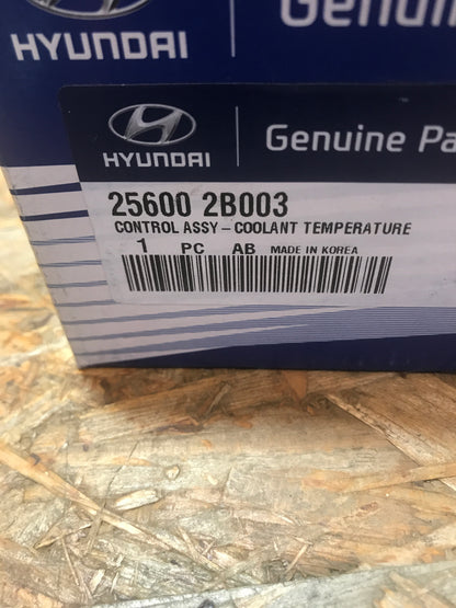 Original Hyundai i20 / Accent / i30 Flansch Wasserverteiler NEU