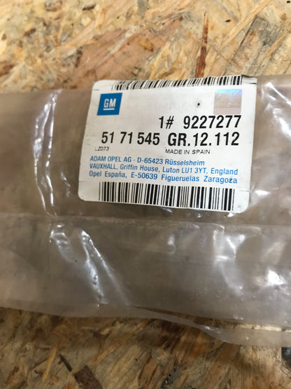 Original Opel Corsa C Schutzleiste Tür vorne links NEU