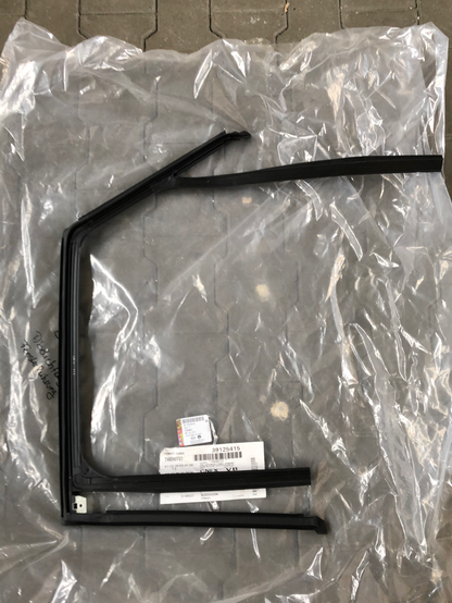 Original GM Chevrolet Abdichtung Fensterführung Neu