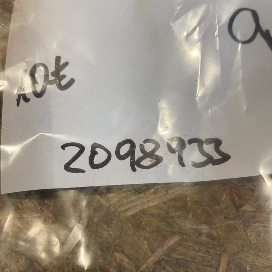 Original GM Alwetterlampe H1 12V 55W Neu