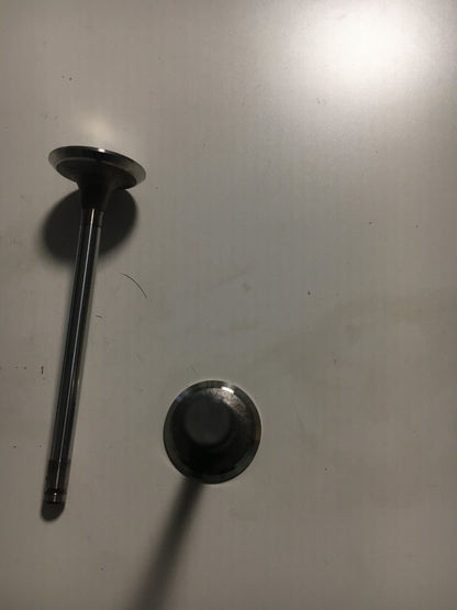 Original Vectra F Vectra Kadett E Einlassventil 2x in einem NEU