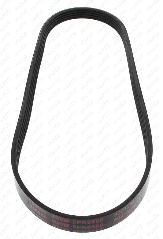 MAPCO Keilrippenriemen 250880