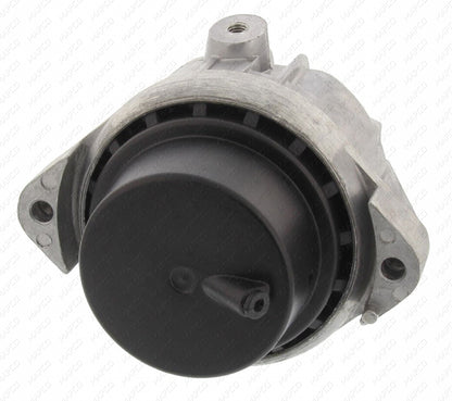 MAPCO Lagerung, Motor rechts  38646