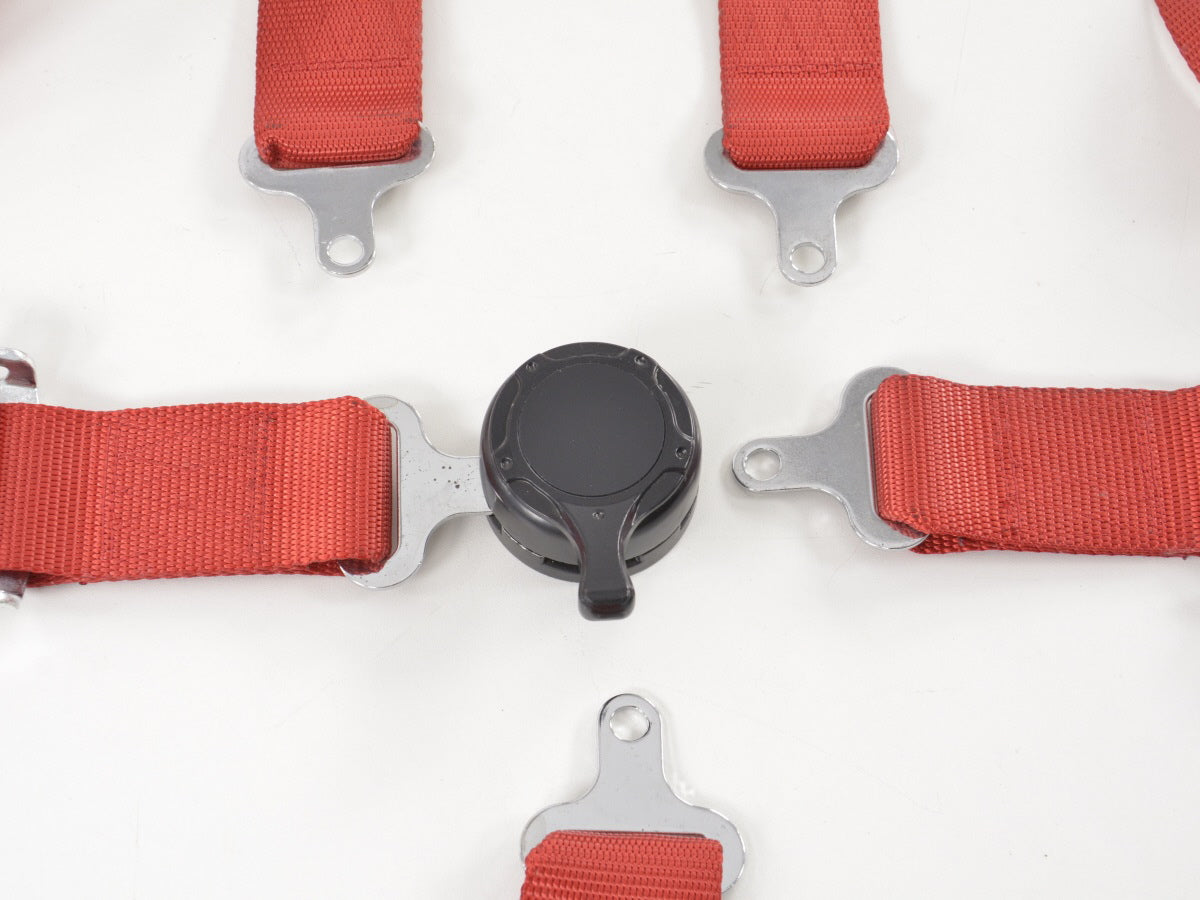 Hosenträgergurt 5-Punkt Gurt Renngurt universal rot