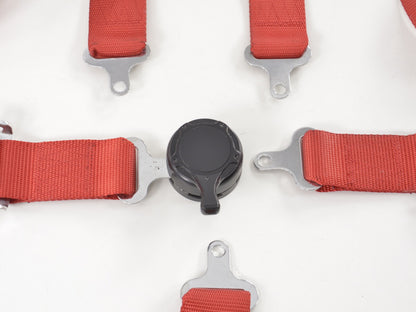 Hosenträgergurt 5-Punkt Gurt Renngurt universal rot