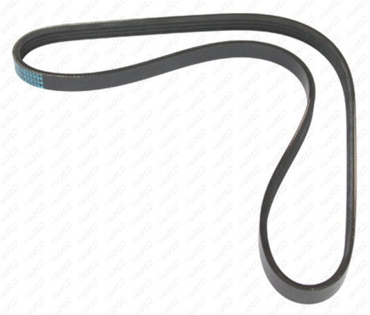 MAPCO Keilrippenriemen 240895