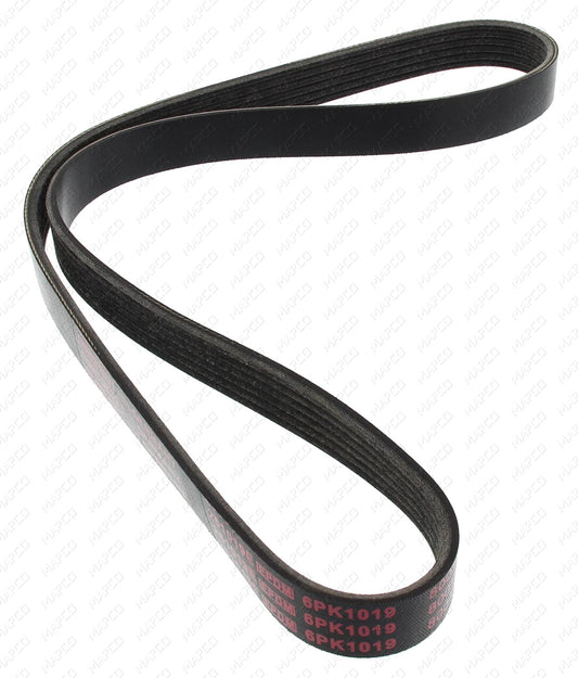 MAPCO Keilrippenriemen 261019E